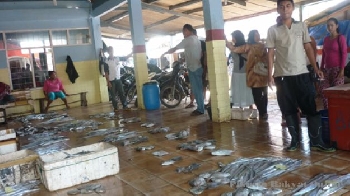 Hasil Tangkapan Nelayan Pangandaran Melimpah